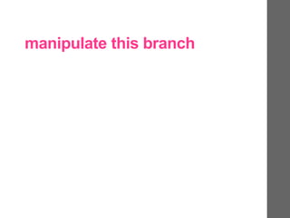 manipulate this branch
 