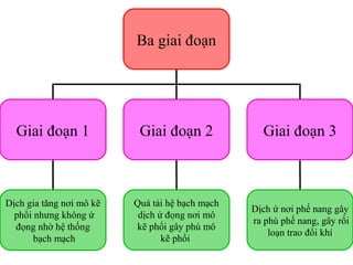 Ba giai đoạn
Giai đoạn 1 Giai đoạn 2 Giai đoạn 3
Dịch gia tăng nơi mô kẽ
phổi nhưng không ứ
đọng nhờ hệ thống
bạch mạch
Quá tải hệ bạch mạch
dịch ứ đọng nơi mô
kẽ phổi gây phù mô
kẽ phổi
Dịch ứ nơi phế nang gây
ra phù phế nang, gây rối
loạn trao đổi khí
 