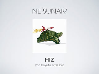 NE SUNAR?
HIZ 
Veri boyutu artsa bile
 