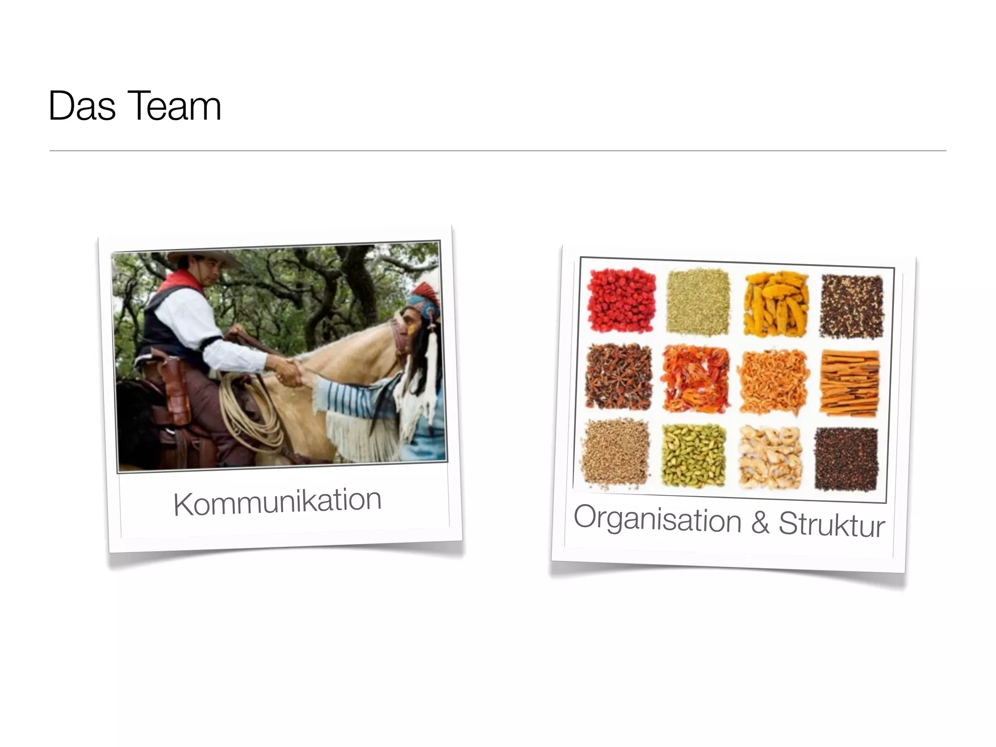 Das Team
Kommunikation
Organisation & Struktur
 