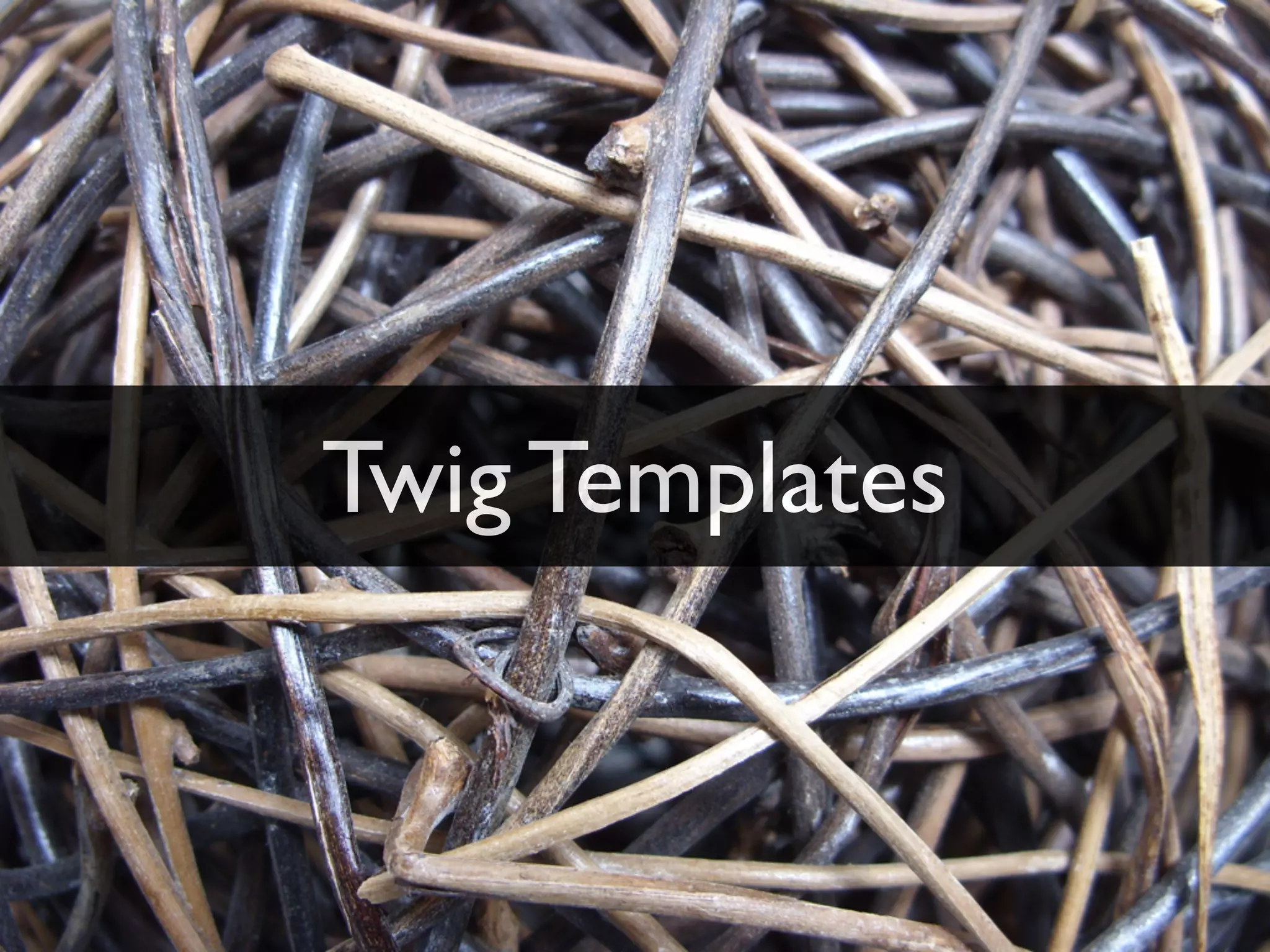 Twig Templates
 