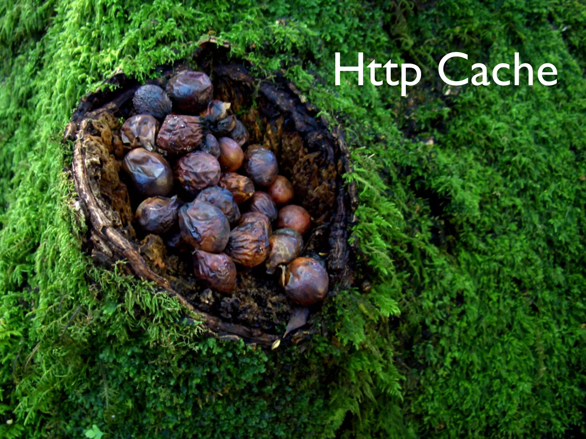 Http Cache
 