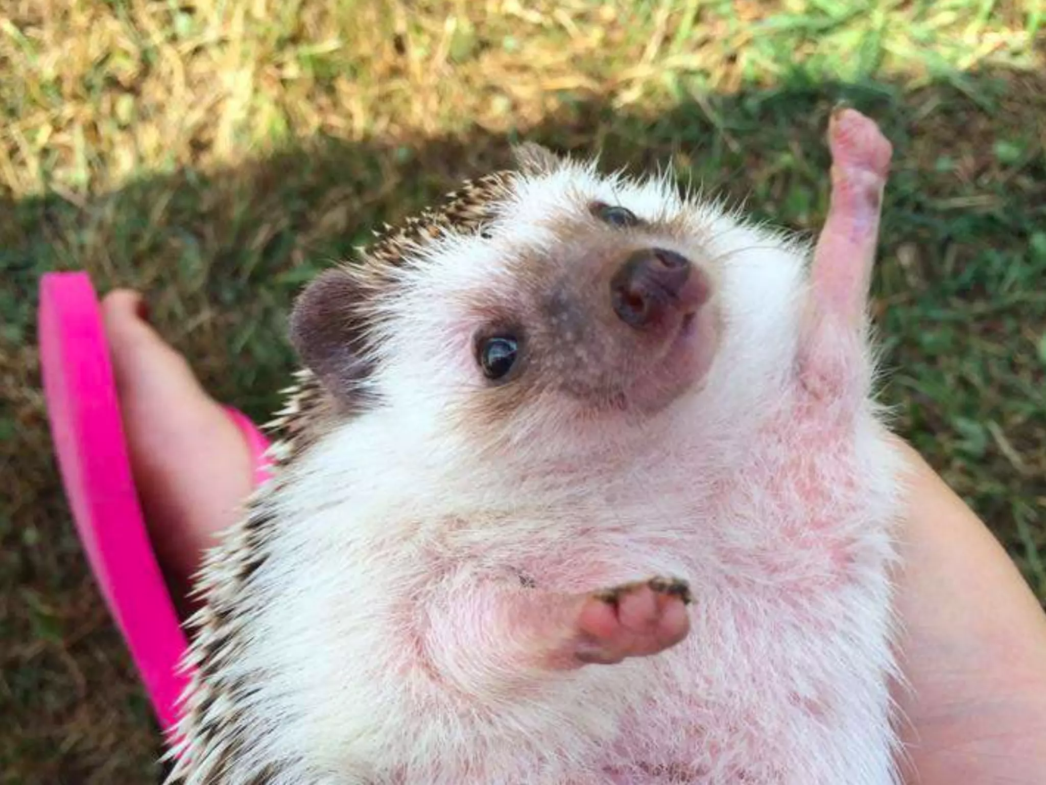 Meri Williams, ChromeRose @Geek_Manager
 