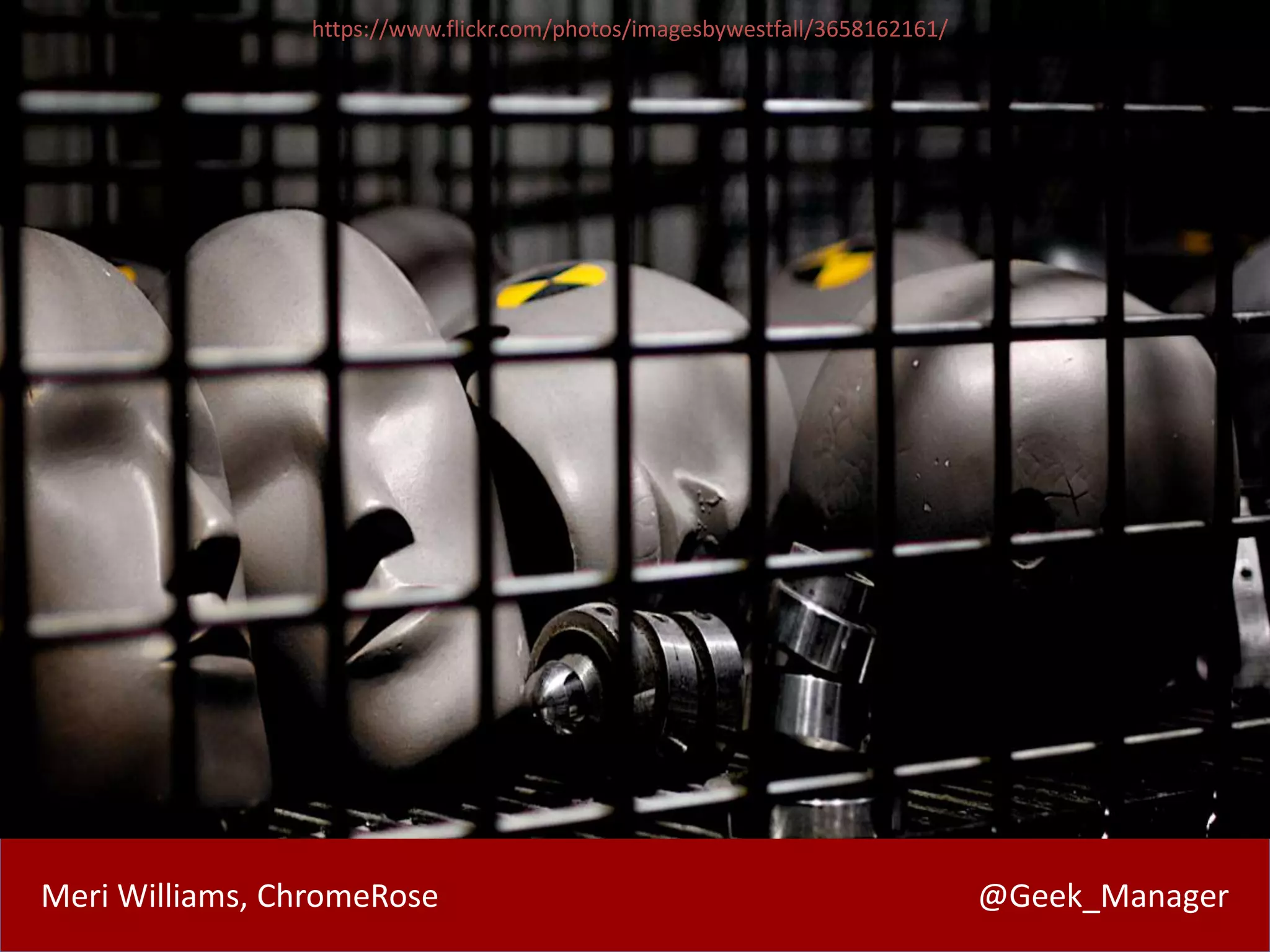 Meri Williams, ChromeRose @Geek_Manager
https://www.flickr.com/photos/imagesbywestfall/3658162161/
 