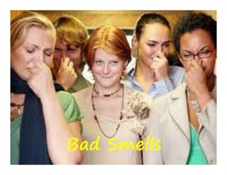 Bad Smells
 