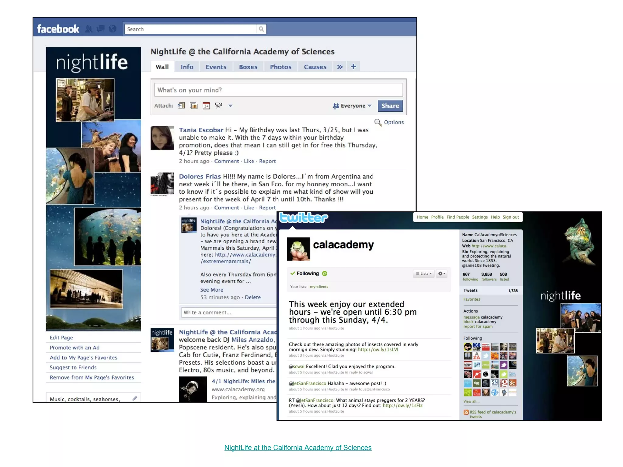 NightLife at the California Academy of Sciences 