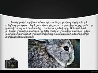 Պատկերային արվեստում ստեղծագործելիս չափազանց կարևոր է
ստեղծագործության մեջ ճիշտ փոխանցել լույսի աղբյուրի բնույթը, քանի որ
դրանով է որոշվում ժամանակը և գործողության վայրը: Արևային կամ
լուսնային լուսավորվածությունը, էլեկտրական լուսավորվածությունը կամ
լույսից անդրադարձած լուսավորությունը համապատասխանաբար միշտ
կբնութագրեն պատկերը:
 