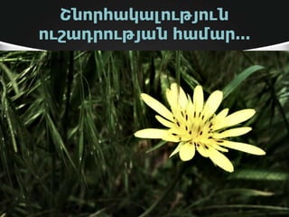 Շնորհակալություն
ուշադրության համար...
 