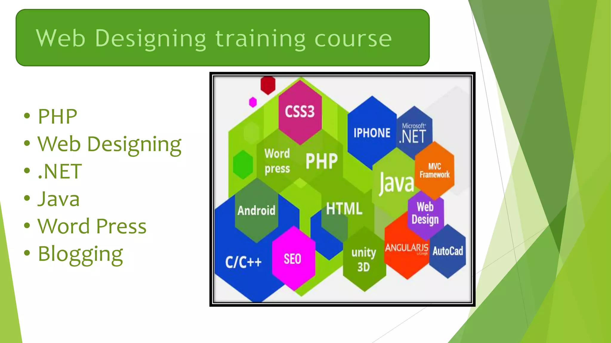 • PHP
• Web Designing
• .NET
• Java
• Word Press
• Blogging