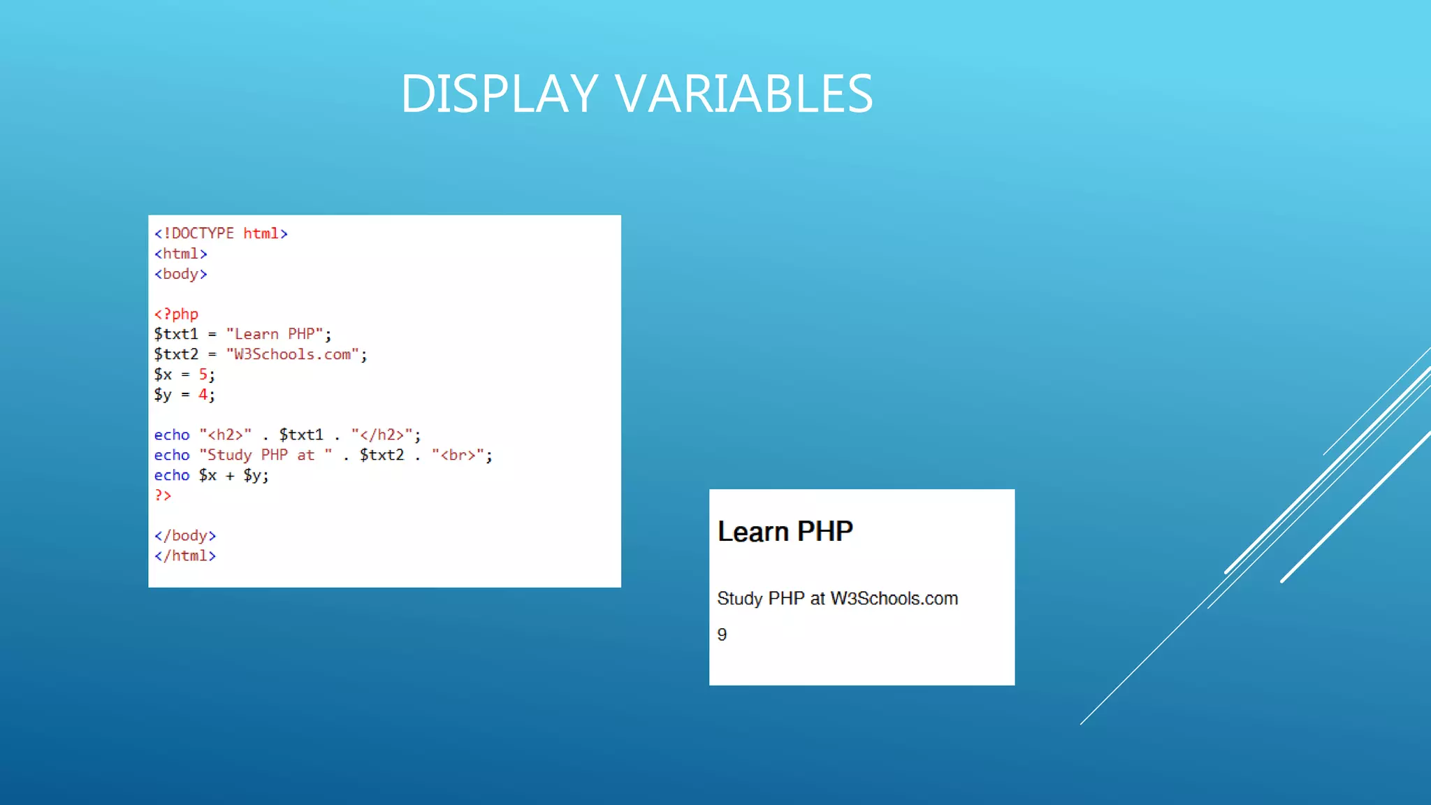 DISPLAY VARIABLES 