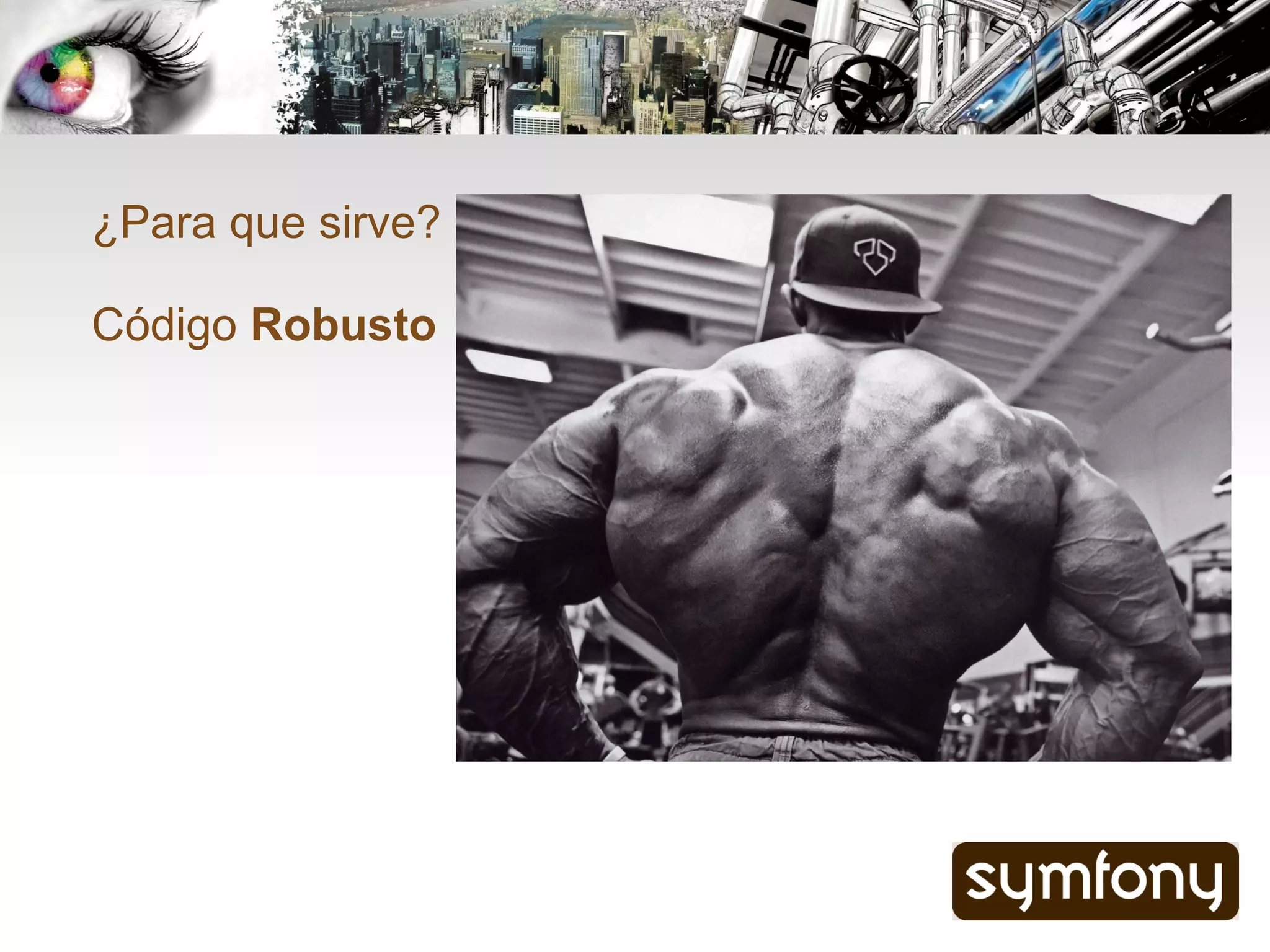 ¿Para que sirve?

Código Robusto
 