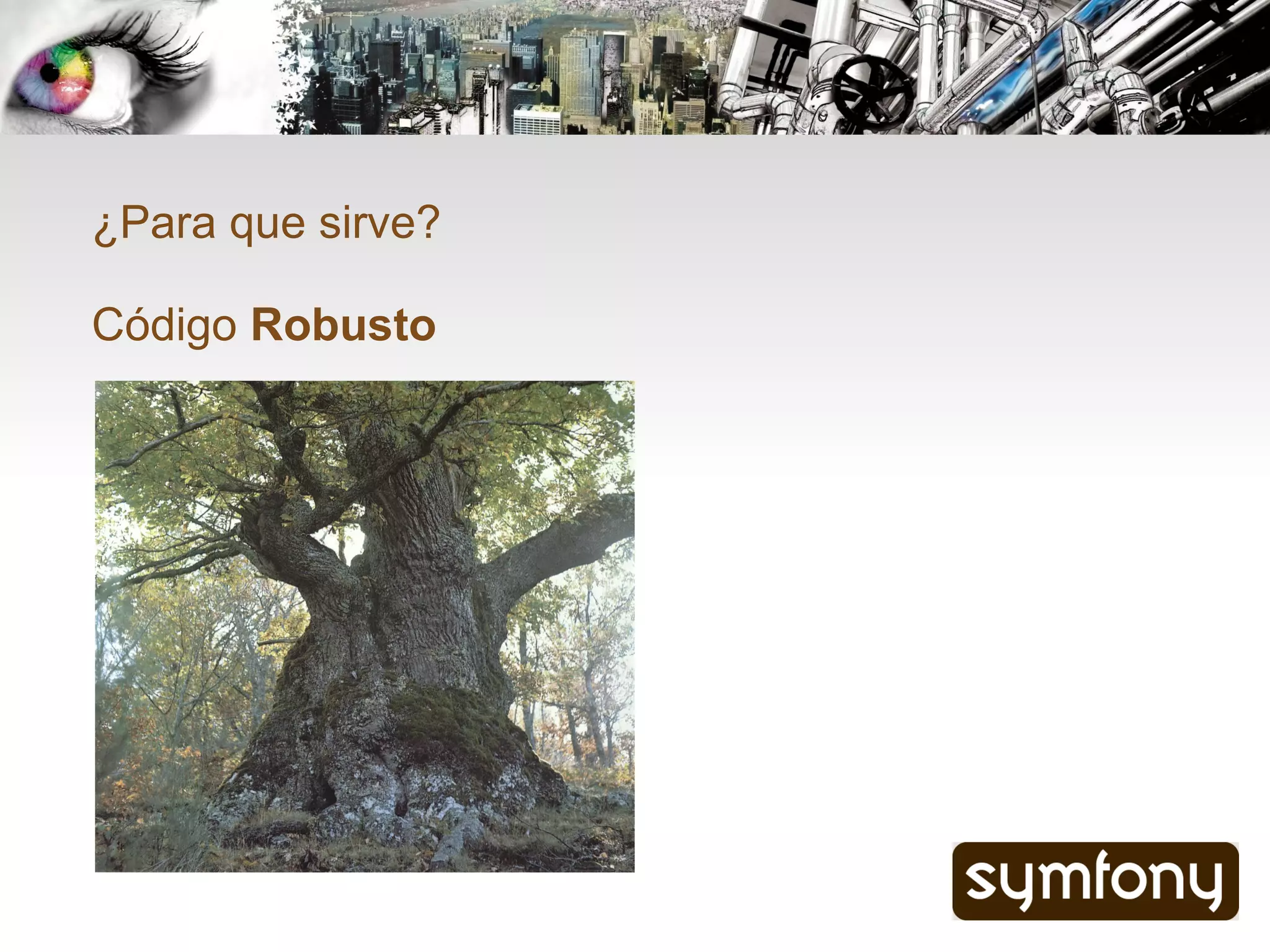 ¿Para que sirve?

Código Robusto
 