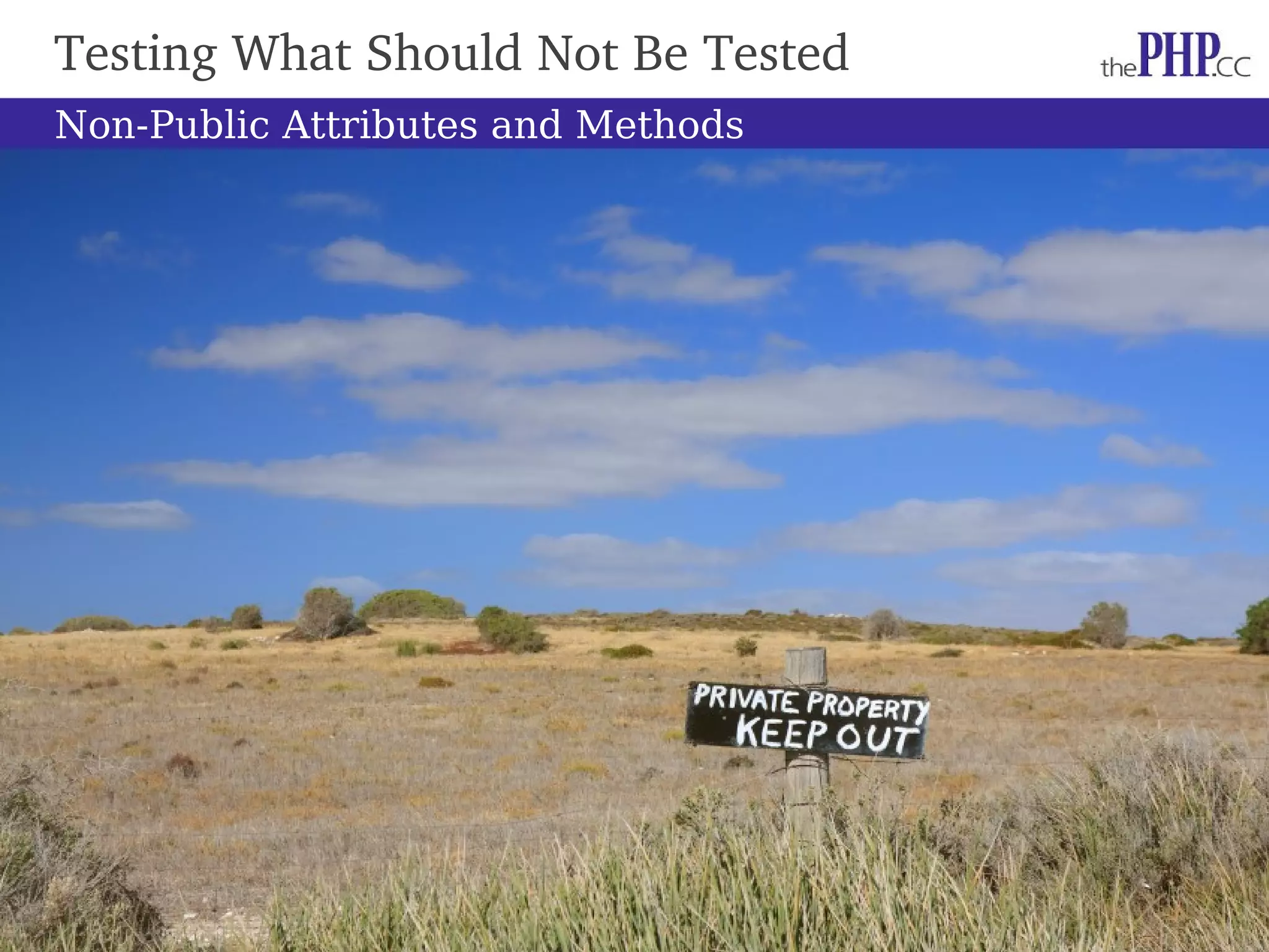 Testing What Should Not Be Tested Non-Public Attributes and Methods 