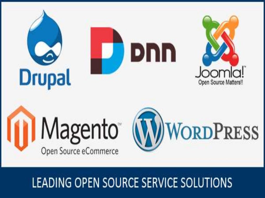 WordPress Web Development Services in Delhi WordPress Web Development Services in Delhi