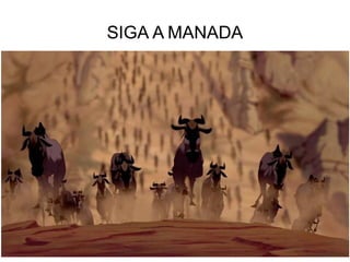 SIGA A MANADA
 