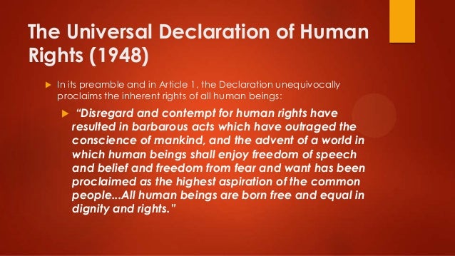 Universal declaration of human rights essay
