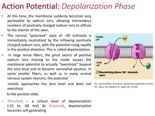 Cell Membrane Transport/Factors/Transport of Substances | PPTX