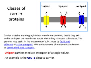 Cell Membrane Transport/Factors/Transport of Substances