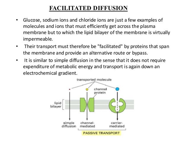Cell Membrane Transport Factors Transport Of Substances