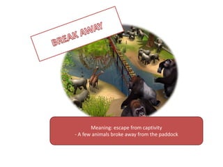 BREAK AWAYMeaning: escape fromcaptivity- A fewanimalsbrokeawayfromthepaddock