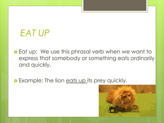 EAT UP
 Eat up: We use this phrasal verb when we want to
express that somebody or something eats ordinarily
and quickly.
 Example: The lion eats up its prey quickly.
 