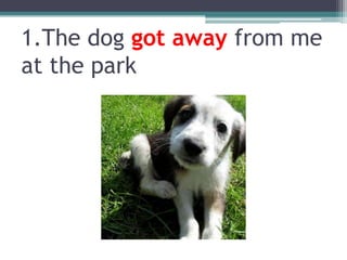 1.Thedoggotawayfrom me atthe park