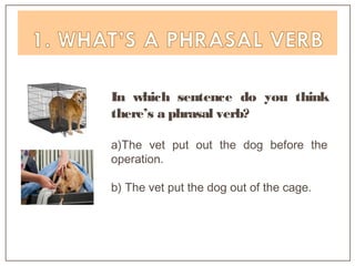 In which sentence do you think
there’s a phrasal verb?
a)The vet put out the dog before the
operation.
b) The vet put the dog out of the cage.
 