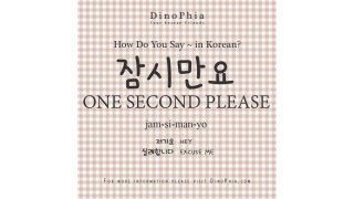 잠시만요 one second please Korean How Do You Say in Korean 