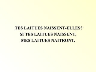 TES LAITUES NAISSENT-ELLES?
SI TES LAITUES NAISSENT,
MES LAITUES NAITRONT.
 