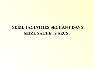 SEIZE JACINTHES SECHANT DANS
SEIZE SACHETS SECS .
 