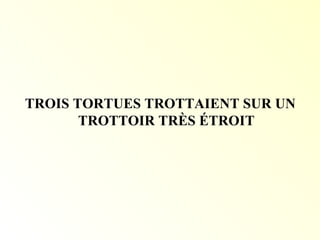 TROIS TORTUES TROTTAIENT SUR UN
TROTTOIR TRÈS ÉTROIT
 