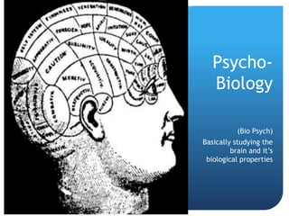 Psycho- 
Biology 
(Bio Psych) 
Basically studying the 
brain and it’s 
biological properties 
 
