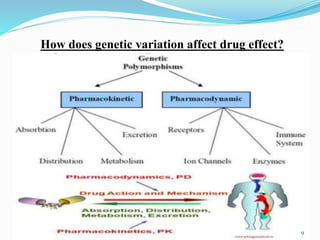 How does genetic variation affect drug effect?
9
 