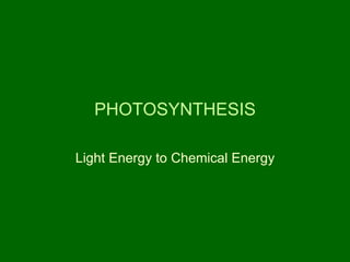 PHOTOSYNTHESIS Light Energy to Chemical Energy 