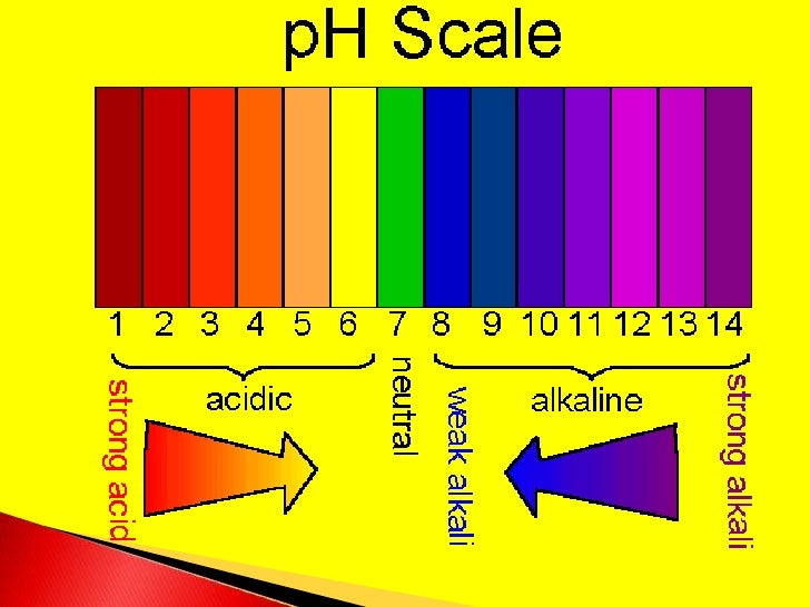 Ph Scale