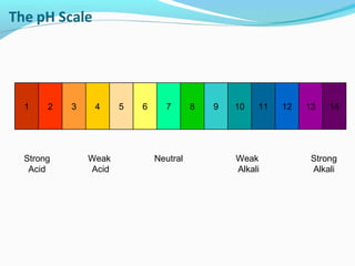 1

2

Strong
Acid

3

4

Weak
Acid

5

6

7

Neutral

8

9

10

11

Weak
Alkali

12

13

14

Strong
Alkali

 