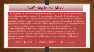 Buffering in the blood
The pH range of blood is normally in the range of 7.35 to 7.45. If pH decreases
below this range, the symptoms of acidosis appear & death of the animal may
occur at pH 7.8 . This is because the enzymes present in the blood are extremely
sensitive to changes in pH. The major buffer systems of the blood are bicarbonate,
phosphate, haemoglobin & proteins buffers. Haemoglobin is a good buffer because
of its capacity to act as a oxygen acceptor as well as a oxygen donor.
Oxyhaemoglobin( HHbO2) is a stronger acid than than carbonic acid but
haemoglobin(HHb) is weaker acid. When blood is circulated through the
pulmonary veins( in lungs), haemoglobin is converted to oxyhaemoglobin by
absorbing oxygen. Because of its acidic nature it reacts with the bicarbonates
present in blood.
HHbO2 + BHCO3 → BHbO2 + H2CO3 ( B= Na, K, etc)
 