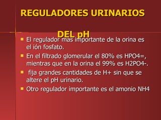 REGULADORES URINARIOS


               DEL importante de la orina es
    El regulador mas
                     pH
    el ión fosfato.
   En el filtrado glomerular el 80% es HPO4=,
    mientras que en la orina el 99% es H2PO4-.
    fija grandes cantidades de H+ sin que se
    altere el pH urinario.
   Otro regulador importante es el amonio NH4
 