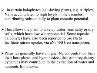  In certain halophytes (salt-loving plants, e.g. Atriplex)
Na is accumulated to high levels in the vacuoles,
contributing substantially to plant osmotic potential.
This allows the plant to take up water from salty or dry
soils, which have low water potential. Some aquatic
halophytes have also been reported to use Na to
facilitate nitrate uptake, via aNa+/NO3 co transporter.
Parasites generally have a higher Na concentration than
their host plants, and hypothesized that osmoregulatory
dynamics may contribute to the extraction of water and
nutrients from hosts.
 