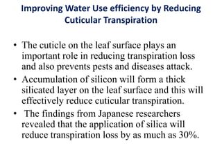 Improving Water Use efficiency by Reducing
Cuticular Transpiration
• The cuticle on the leaf surface plays an
important role in reducing transpiration loss
and also prevents pests and diseases attack.
• Accumulation of silicon will form a thick
silicated layer on the leaf surface and this will
effectively reduce cuticular transpiration.
• The findings from Japanese researchers
revealed that the application of silica will
reduce transpiration loss by as much as 30%.
 