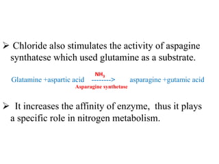  Chloride also stimulates the activity of aspagine
synthatese which used glutamine as a substrate.
Glatamine +aspartic acid --------> asparagine +gutamic acid
 It increases the affinity of enzyme, thus it plays
a specific role in nitrogen metabolism.
NH3
Asparagine synthetase
 
