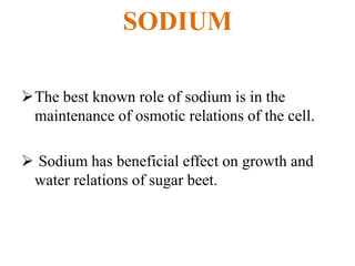 SODIUM
The best known role of sodium is in the
maintenance of osmotic relations of the cell.
 Sodium has beneficial effect on growth and
water relations of sugar beet.
 