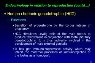 Phsiology Of Pregnancy, Female Pelvic Anatomy Mob: 7289915430, www ...