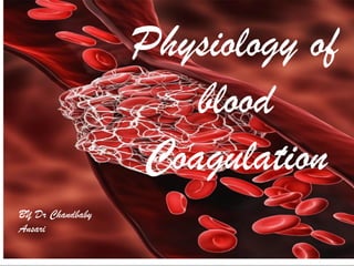 n//
Physiology of
blood
Coagulation
BY Dr Chandbaby
Ansari
 