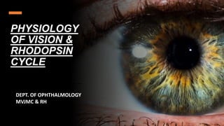 PHYSIOLOGY
OF VISION &
RHODOPSIN
CYCLE
DEPT. OF OPHTHALMOLOGY
MVJMC & RH
 