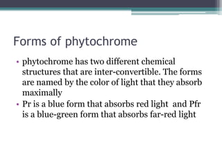 Forms of phytochrome
• phytochrome has two different chemical
structures that are inter-convertible. The forms
are named by the color of light that they absorb
maximally
• Pr is a blue form that absorbs red light and Pfr
is a blue-green form that absorbs far-red light
 