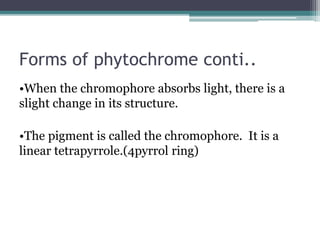 Forms of phytochrome conti..
•When the chromophore absorbs light, there is a
slight change in its structure.
•The pigment is called the chromophore. It is a
linear tetrapyrrole.(4pyrrol ring)
 