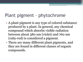 Plant pigment – phytochrome
• A plant pigment is any type of colored substance
produced by a plant. In general, any chemical
compound which absorbs visible radiation
between about 380 nm (violet) and 760 nm
(ruby-red) is considered a pigment.
• There are many different plant pigments, and
they are found in different classes of organic
compounds.
 