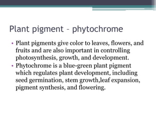Plant pigment – phytochrome
• Plant pigments give color to leaves, flowers, and
fruits and are also important in controlling
photosynthesis, growth, and development.
• Phytochrome is a blue-green plant pigment
which regulates plant development, including
seed germination, stem growth,leaf expansion,
pigment synthesis, and flowering.
 