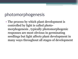 photomorphogenesis
• The process by which plant development is
controlled by light is called photo-
morphogenesis , typically photomorphogenic
responses are most obvious in germinating
seedlings but light affects plant development in
many ways throughout all stages of development
 